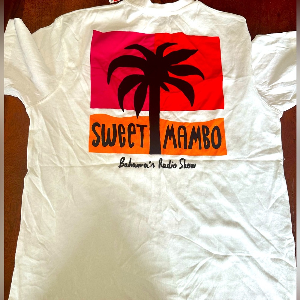 Zara t shirt